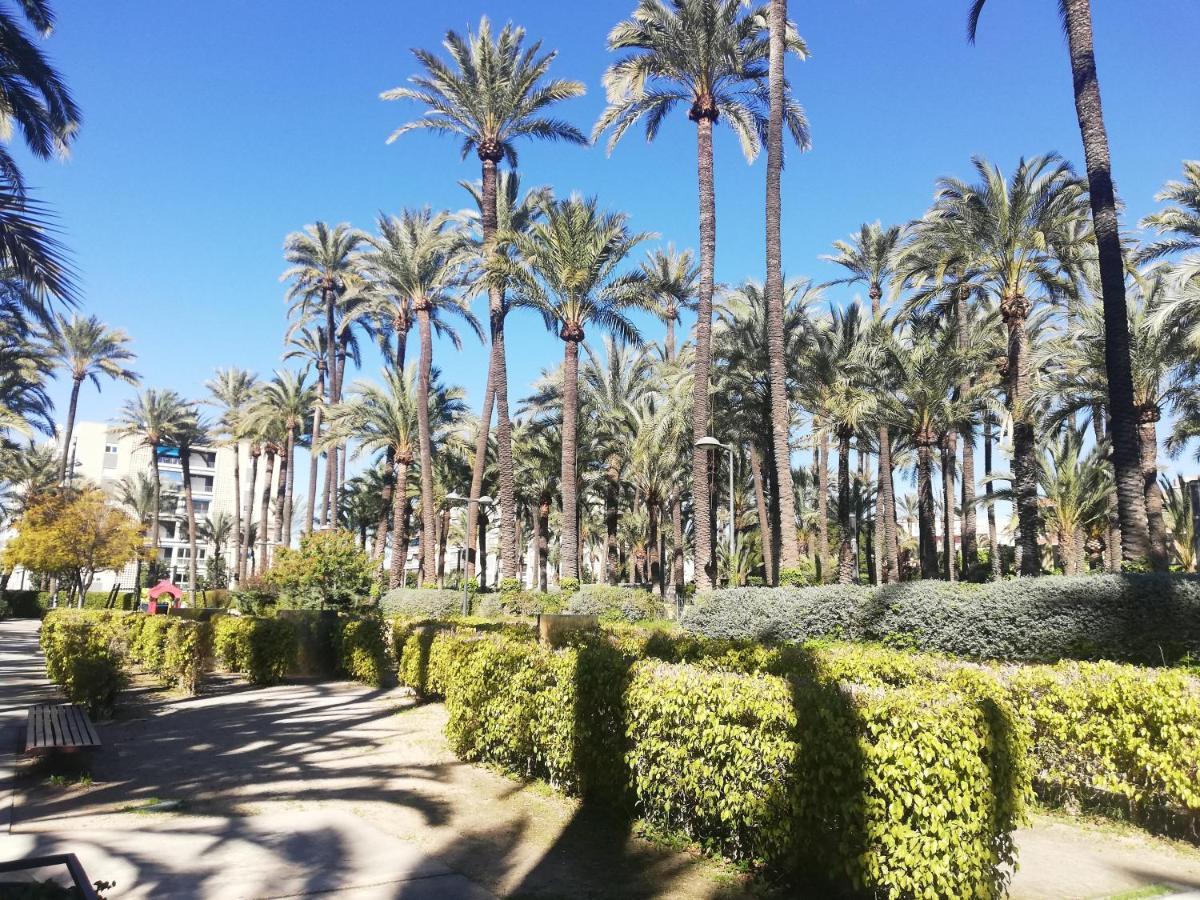 Santa Pola Salamanca 10 Apartamento, Garaje Subterraneo, Fibra Optica, Lavavajillas, Aire Acondicionado, Gran Terraza, Grand Playa 450M Eksteriør bilde
